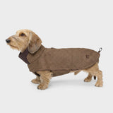 Dachshund Coat Brooklyn Houndstooth