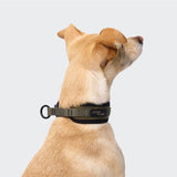 C-1 Zugstopp Halsband AKTIV Softshell Olive