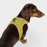 V-1 Westengeschirr AKTIV Air-Mesh Peach/Neon Green