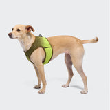 V-3 Westengeschirr AKTIV Knit Khaki/Neon Green