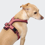 Y-1 Geschirr AKTIV Air-Mesh Aubergine/Soft Rose