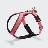 Y-1 Geschirr AKTIV Air-Mesh Aubergine/Soft Rose