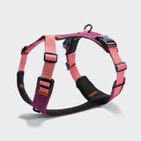 Y-2 Geschirr AKTIV Aubergine/Soft Rose