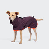 Hunderegenmantel AKTIV Aubergine/Orange