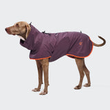 Hunderegenmantel AKTIV Aubergine/Orange
