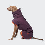 Hunderegenmantel AKTIV Aubergine/Orange