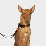 Adjustable Dog Leash BioThane Ipanema Dark Aubergine