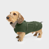 Dachshund Coat Brooklyn Flannel Fern Green
