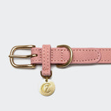 Hundehalsband Tiergarten Peach