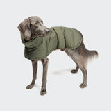 Hundemantel Everest Light Olive