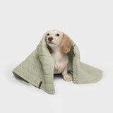 Hundedecke LTTL Faded Moss
