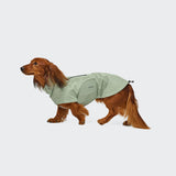Dachshund Raincoat Dublin 2.0 Dusty Mint