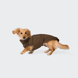 Hundepullover Dackel Derby 2.0 Coffee