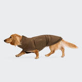 Hundepullover Dackel Derby 2.0 Coffee