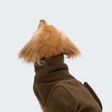 Hundepullover Dackel Derby 2.0 Coffee