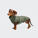 Hundepullover Dackel Derby 2.0 Khaki