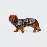 Hundepullover Dackel Gotland Tartan