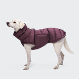 Dog Coat Alaska Dark Aubergine
