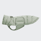 Dachshund Coat Alaska Dusty Mint