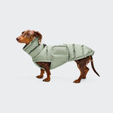 Dachshund Coat Alaska Dusty Mint