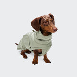 Dachshund Coat Alaska Dusty Mint