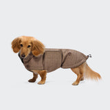 Dachshund Coat Brooklyn Houndstooth