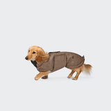 Dachshund Coat Brooklyn Houndstooth