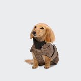 Dachshund Coat Brooklyn Houndstooth