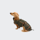 Dachshund Coat Brooklyn Flannel Tartan Green
