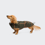 Dachshund Coat Brooklyn Flannel Tartan Green