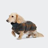 Dachshund Coat Brooklyn Waxed Tartan