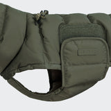 Dachshund Coat Alaska Light Olive