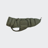 Dachshund Coat Alaska Light Olive
