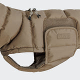 Dachshund Coat Alaska Sandy Brown