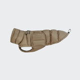 Dachshund Coat Alaska Sandy Brown