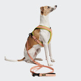 Y-1 Harness AKTIV Air-Mesh Peach