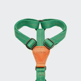 Dog Harness Madeira Amber