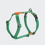Dog Harness Madeira Amber