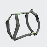 Y-Hundegeschirr Madeira Mint
