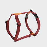 Dual Clip Dog Harness Madeira Papaya