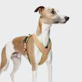 Y-1 Harness AKTIV Air-Mesh Peach