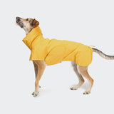 Dog Raincoat Helgoland Yellow