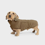 Hundepullover Dackel Derby 2.0 Coffee