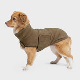 Hundepullover Derby 2.0 Coffee