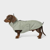 Dachshund Raincoat Dublin 2.0 Dusty Mint