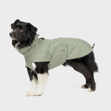 Dog Raincoat Dublin 2.0 Dusty Mint