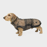 Hundepullover Dackel Gotland Tartan