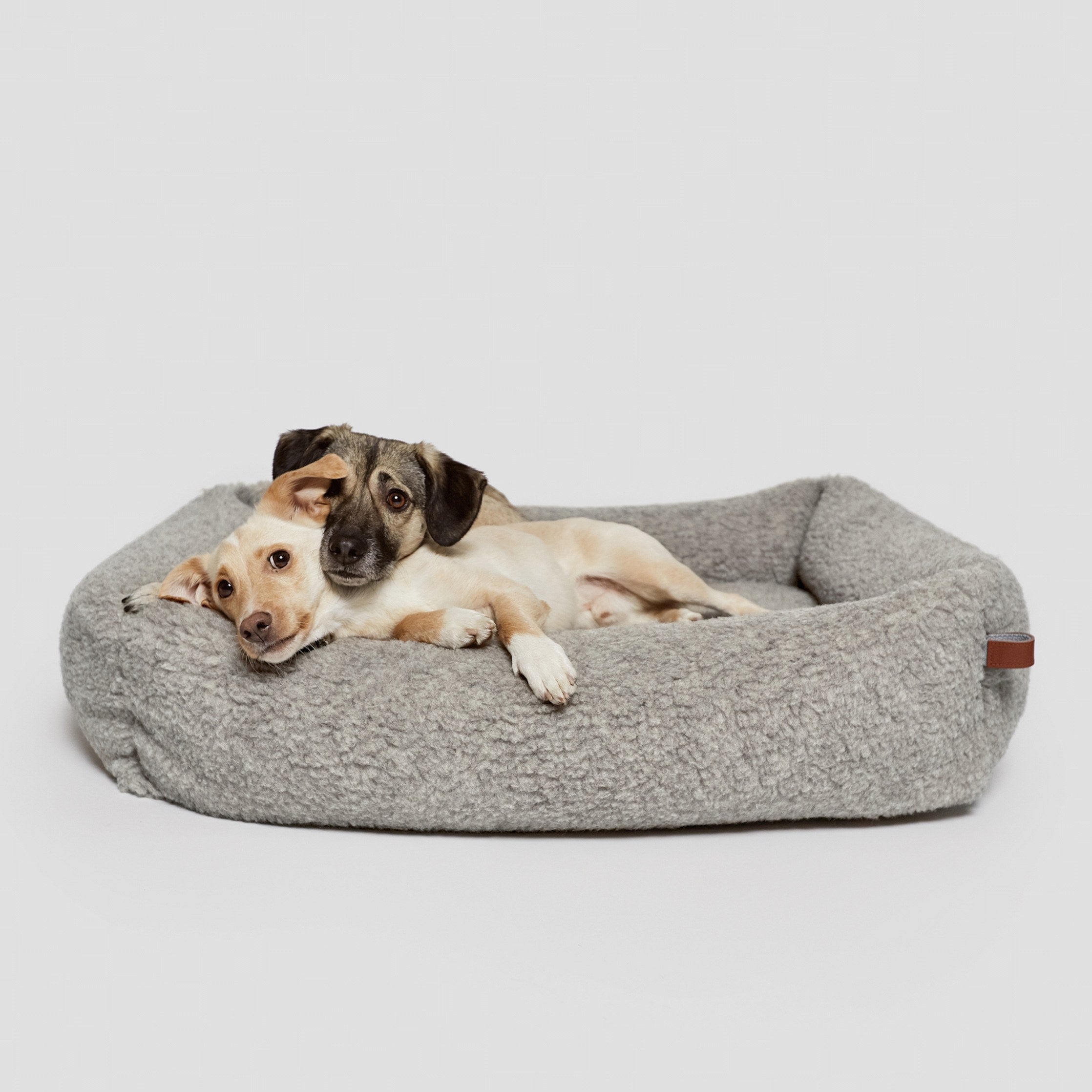 Zwei Hunde kuscheln im Hundebett mit Umrandung aus Teddy-Stoff und legen ihre Köpfe auf dem Rand ab