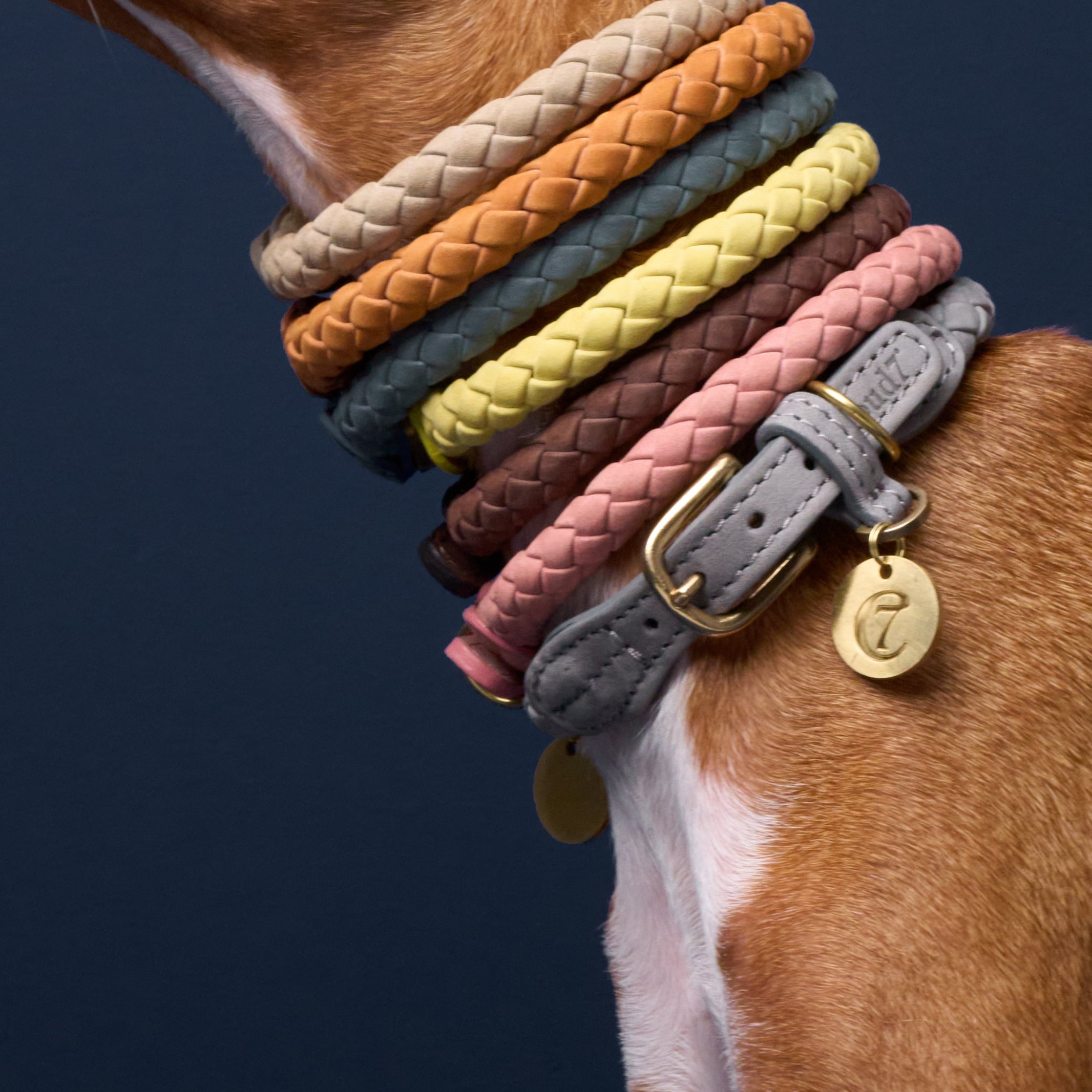 Hundehalsband Ravello Dove
