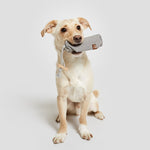 Futter Dummy XS Heather Grey Hund